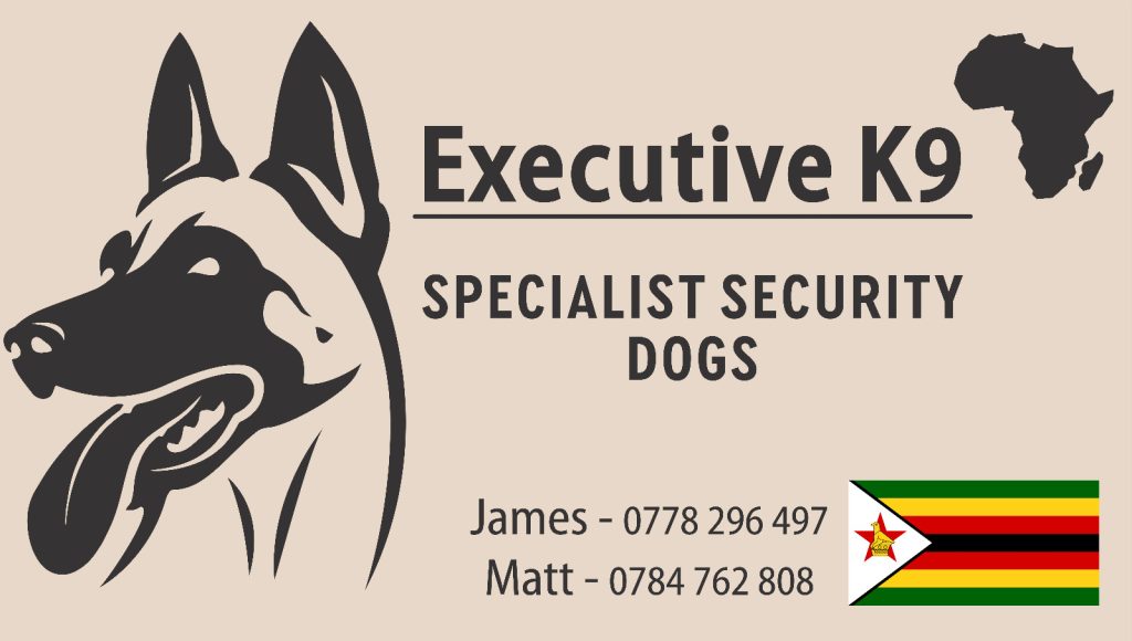 Executive k9