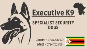 k9-unit-300x170